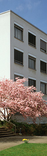 Haus-Pharis